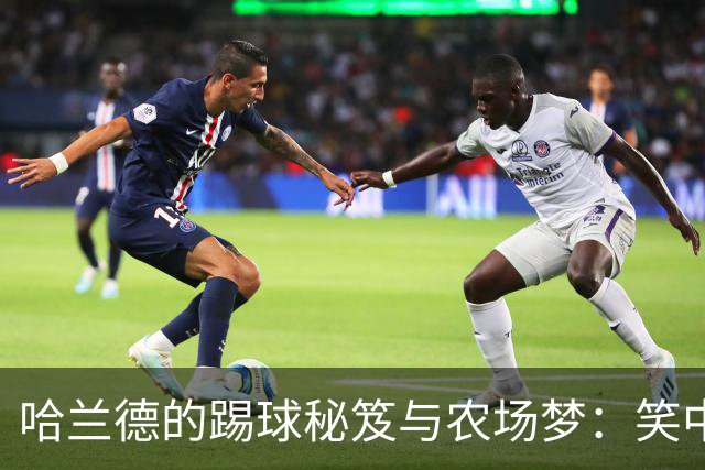 哈兰德的踢球秘笈与农场梦：笑中有泪的人生哲学